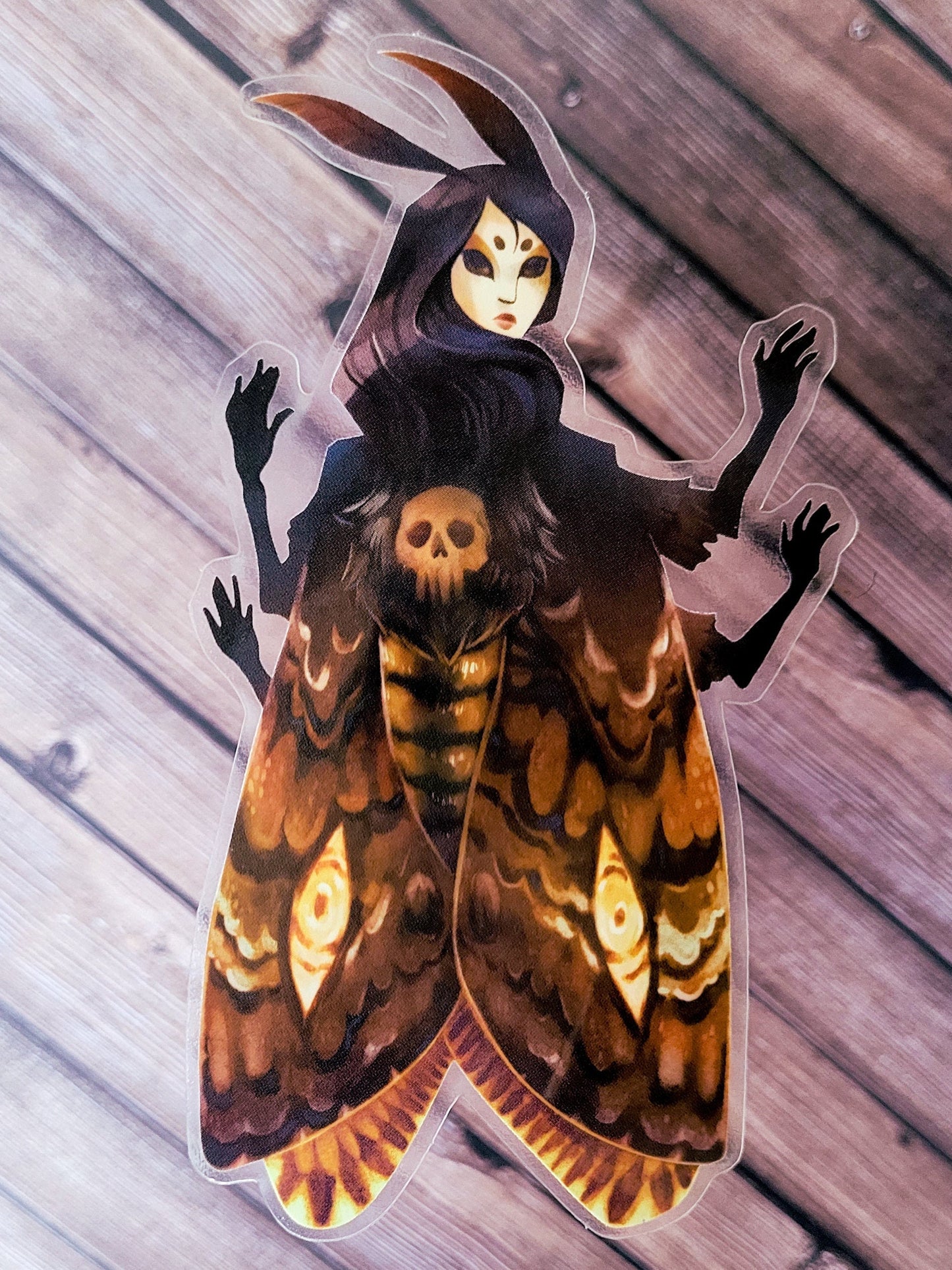 Death’s-head Lady Hawkmoth